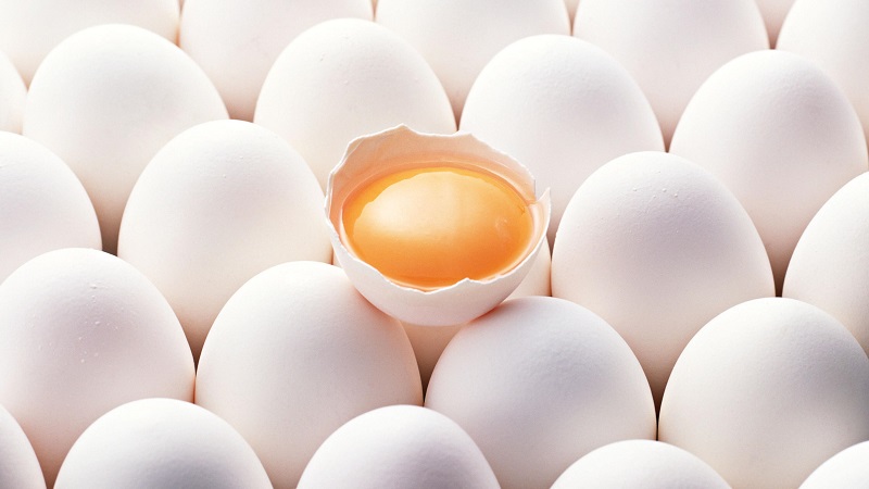 Що впливає на яйценосність курей