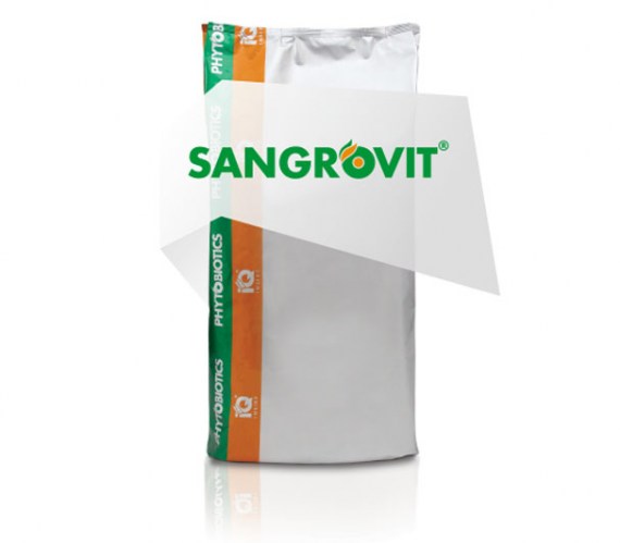 Сангровит ВС - растительная кормовая добавка с противовоспалительным действием